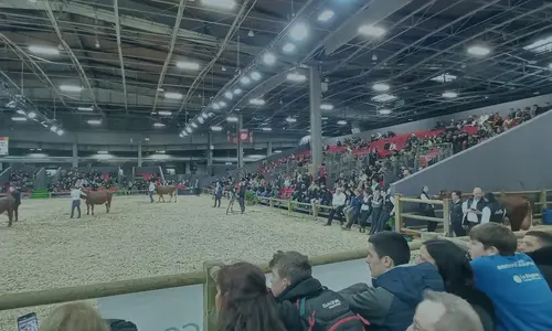 Tribunes SIA Tribunes SIA